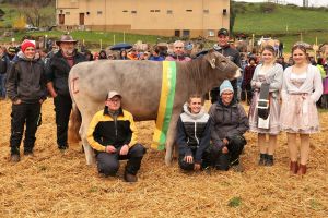 Champion Rind Original Braunvieh  RANA CH 120.1504.8944.8 ROY Kennel Markus Charenwldli 1 Steinerberg